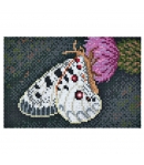pack de inicio hama art mariposa (10000 piezas y 6 placas pegboards) hama beads midi